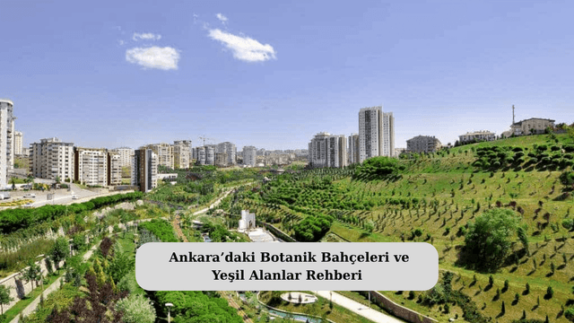 Ankara’daki Botanik Bahçeleri ve Yeşil Alanlar Rehberi