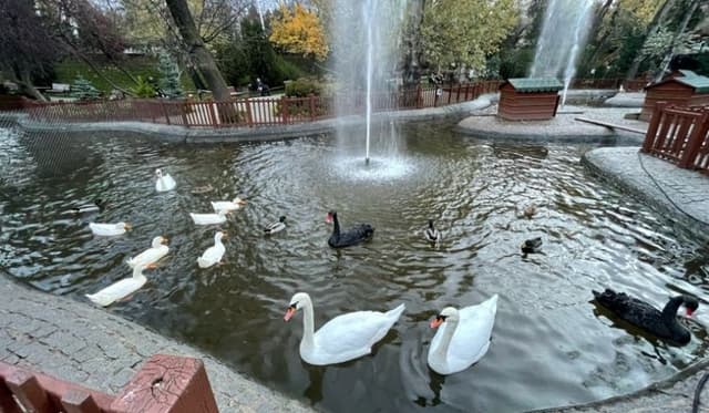 Ankara’da Gençler İçin Doğa Kaçamağı: Keşfedilecek En İyi 5 Yer