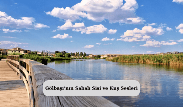 Gölbaşı’nın Sabah Sisi ve Kuş Sesleri