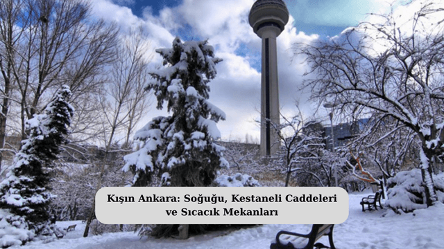 Kışın Ankara: Soğuğu, Kestaneli Caddeleri ve Sıcacık Mekanları